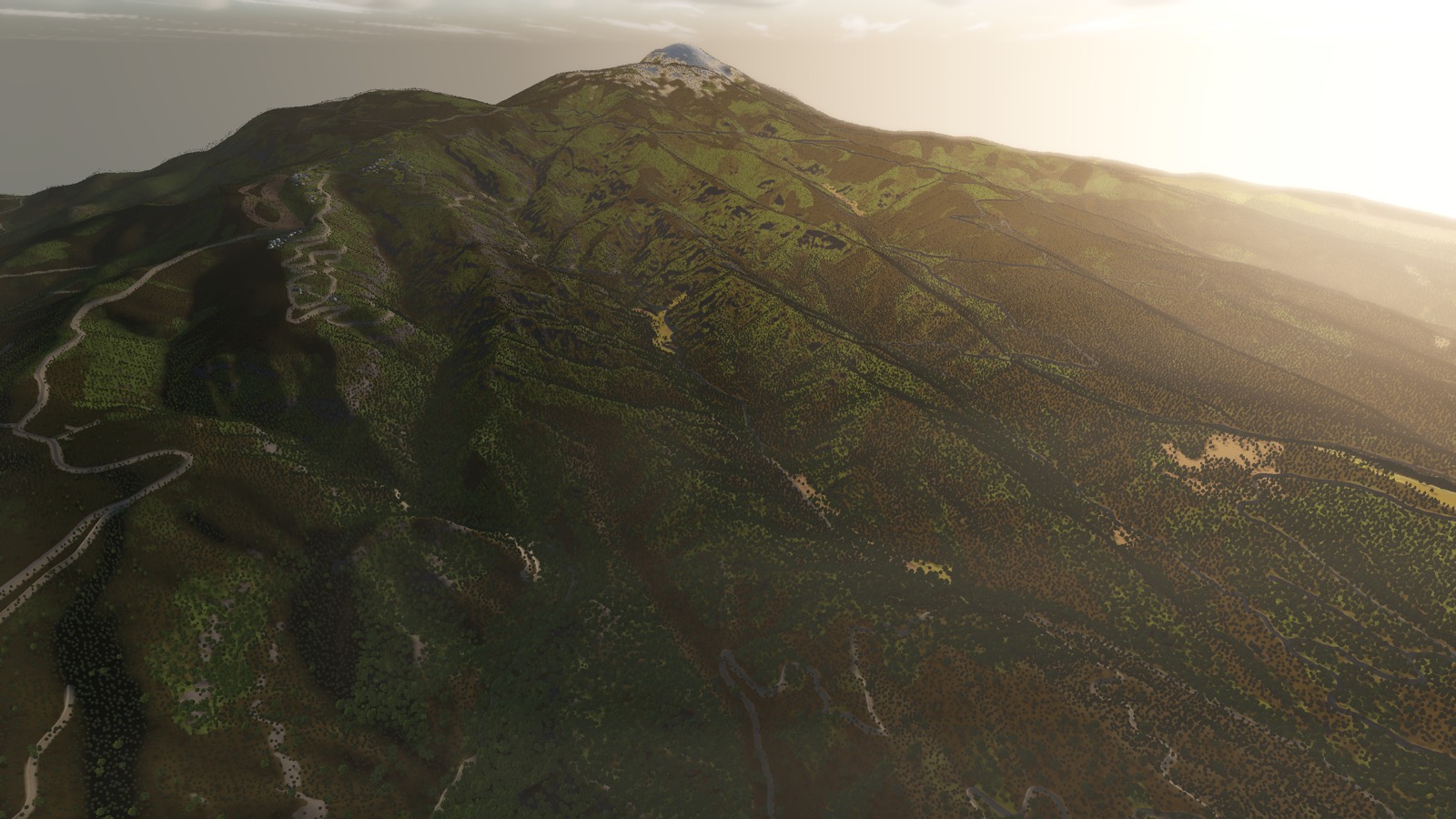 A forested ridge falling away toward a distant snow-capped peak in low sunlight
